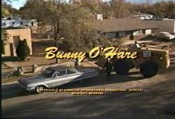 Stojo - Bunny O'Hare (1971)